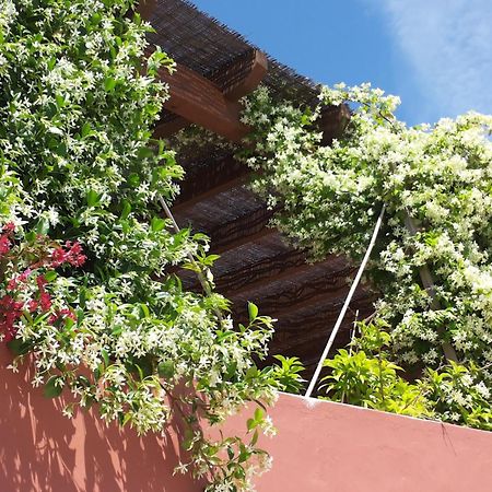 Gato Preto De Silves - Adults Only Bed & Breakfast Exterior foto