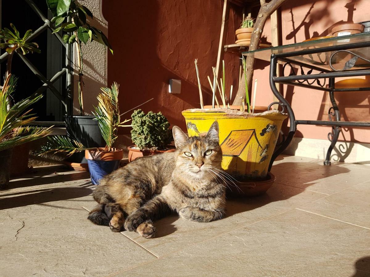 Gato Preto De Silves - Adults Only Bed & Breakfast Exterior foto